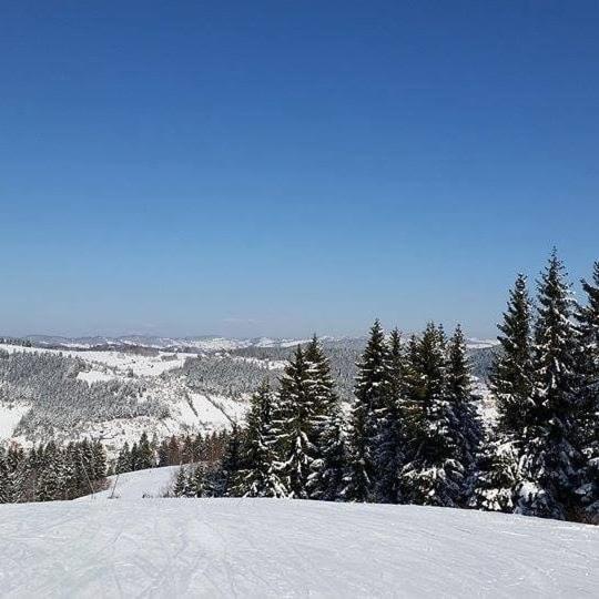 Milanova Koliba Zlatar Nova Varoš Exterior foto