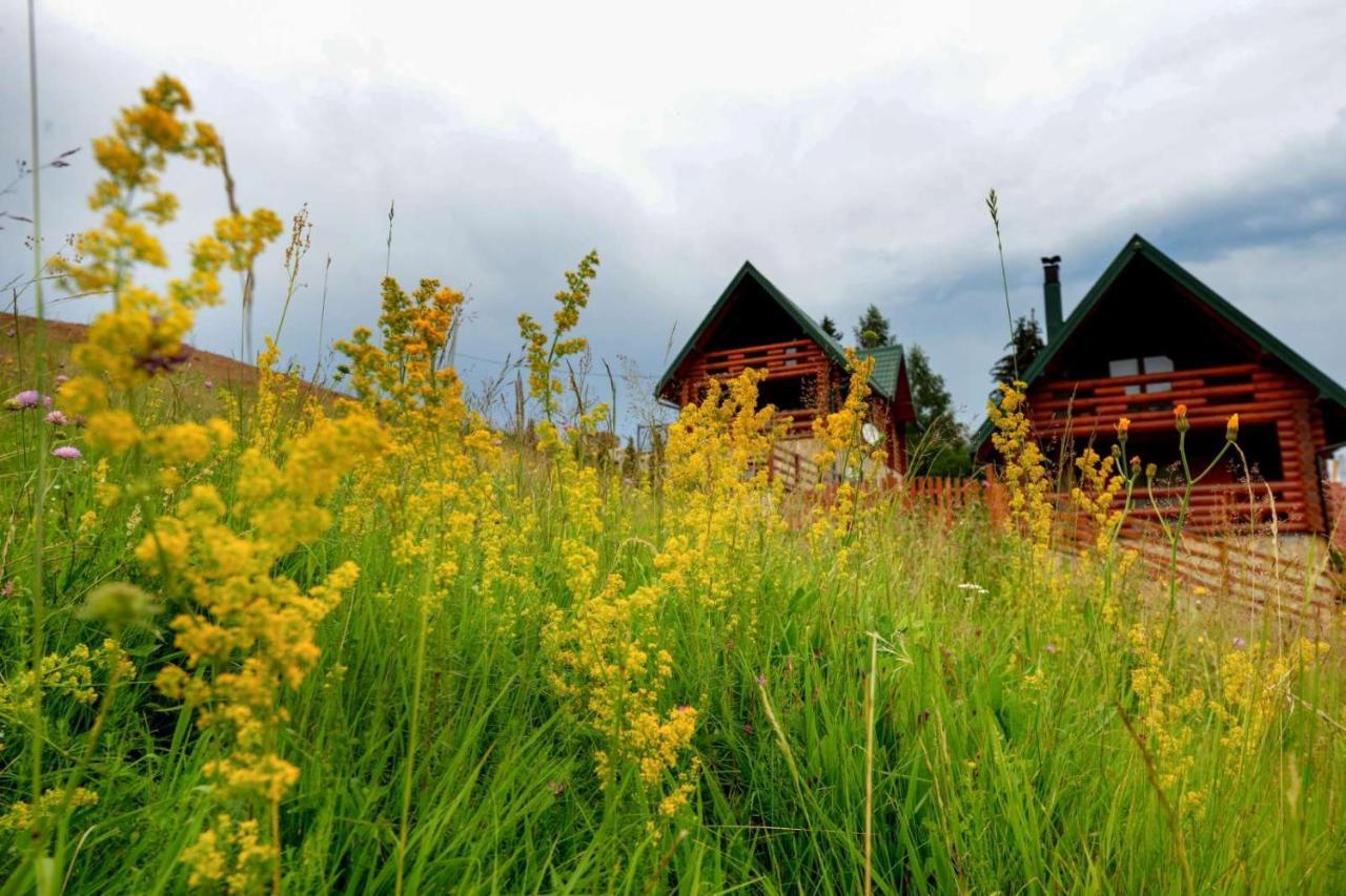 Milanova Koliba Zlatar Nova Varoš Exterior foto